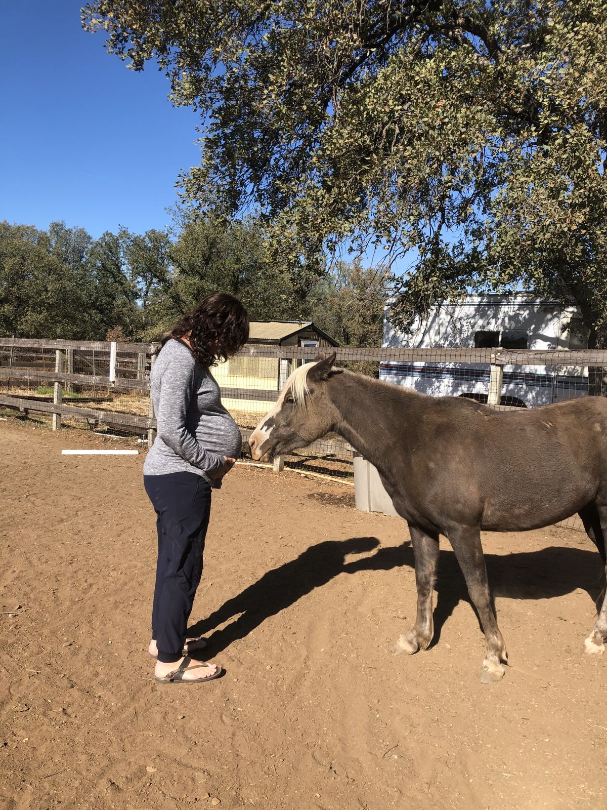 Pregnant Sarah with a horse smelling her belly