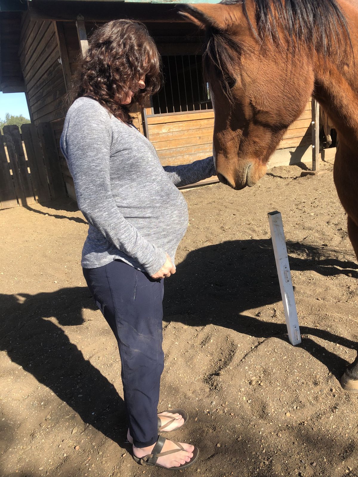 A horse smells Sarah's pregnant belly