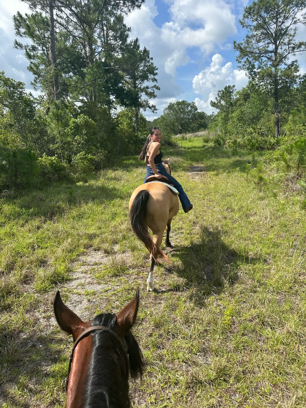 View between a horse's ears of a rider on a buckskin ahead on a grassy trail