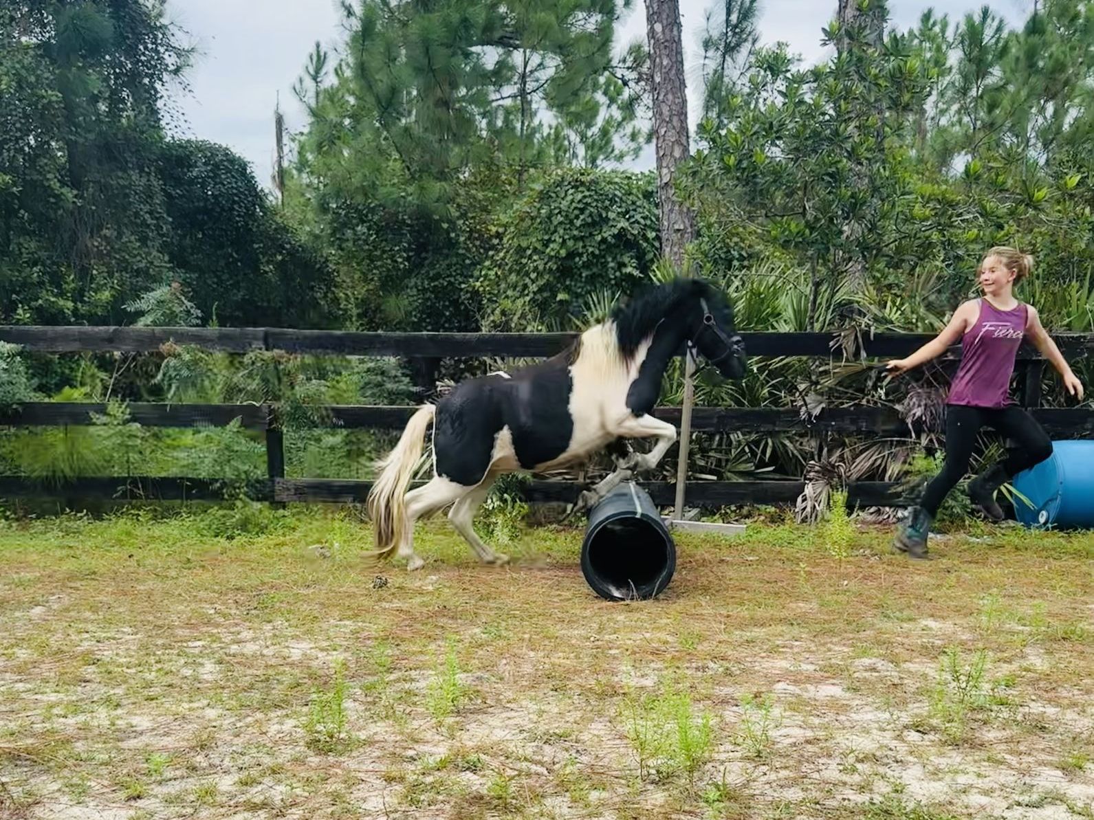 A girl runs a black and white mini pony over a barrel jump at The Refuge