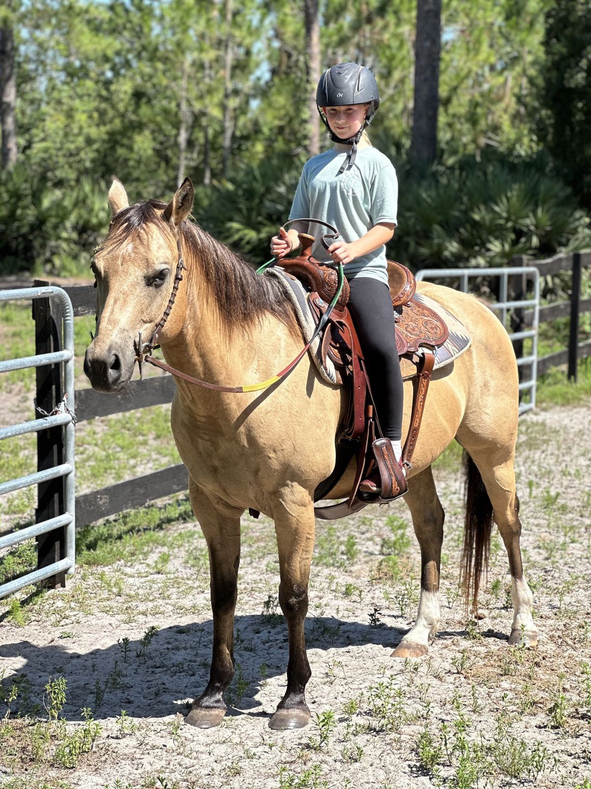 A girl in a riding helmet sits on a buckskin horse at The Refuge