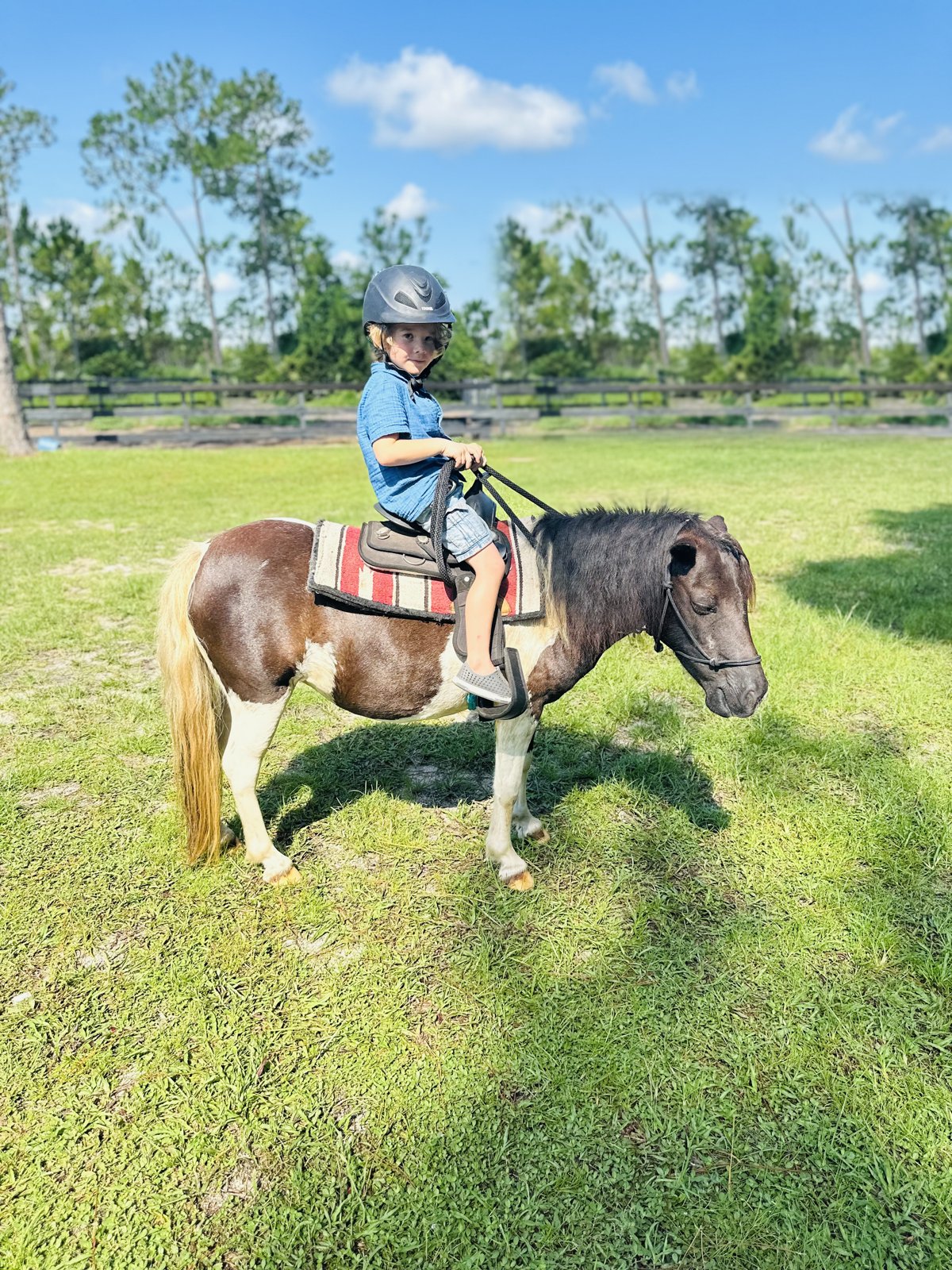 A little boy in a riding helmet on a paint pony